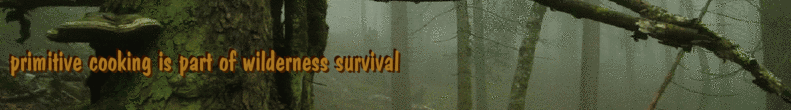 primitive cooking is part of wilderness survival