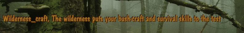 Wilderness_craft, The wilderness puts your bush-craft and survival skills to the test