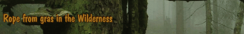 Rope from gras in the Wilderness
