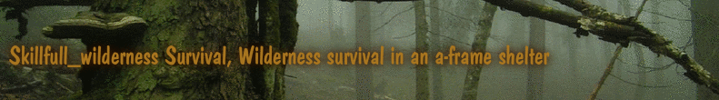 Skillfull_wilderness Survival, Wilderness survival in an a-frame shelter