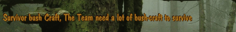 Survivor bush Craft, The Team need a lot of bush-craft to survive