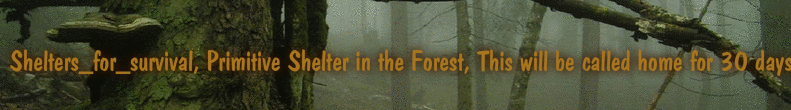 Shelters_for_survival, Primitive Shelter in the Forest, This will be called home for 30 days in the wilderness.