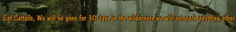 Eat Cattails, We will be gone for 30 days in the wilderness we will not pack anything other than a knife. One of our food source