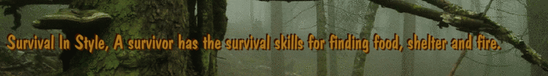 Survival In Style, A survivor has the survival skills for finding food, shelter and fire.