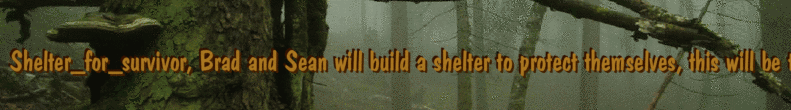 Shelter_for_survivor, Brad and Sean will build a shelter to protect themselves, this will be their base for creating strategies