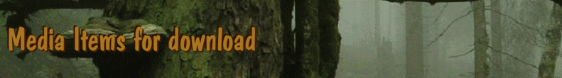 Media Items for download