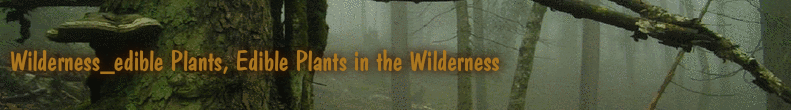Wilderness_edible Plants, Edible Plants in the Wilderness