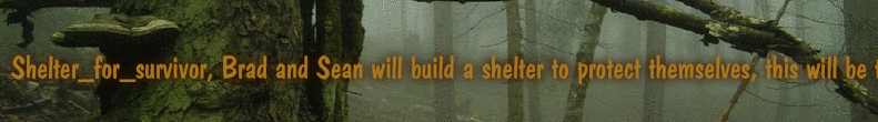 Shelter_for_survivor, Brad and Sean will build a shelter to protect themselves, this will be their base for creating strategies