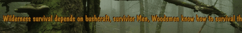 Wilderness survival depends on bushcraft, survivior Men, Woodsmen know how to survival the Wilderness