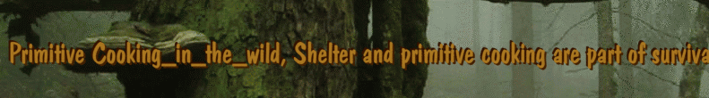 Primitive Cooking_in_the_wild, Shelter and primitive cooking are part of survival in the wild
