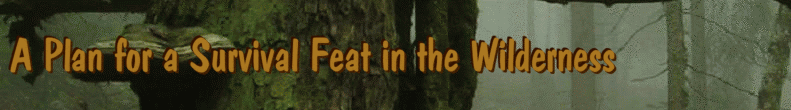 A Plan for a Survival Feat in the Wilderness