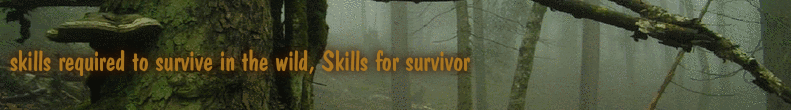 skills required to survive in the wild, Skills for survivor