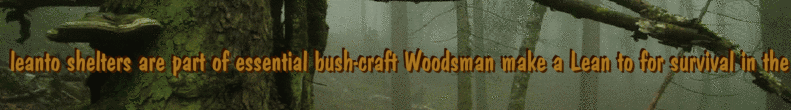 leanto shelters are part of essential bush-craft Woodsman make a Lean to for survival in the wilderness, important for camping in the Forest, this will shelter you in the wild, Survior Man survival Men Brad and Sean the Crazy Canadians
