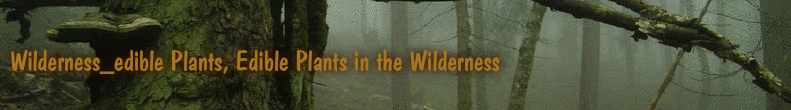 Wilderness_edible Plants, Edible Plants in the Wilderness