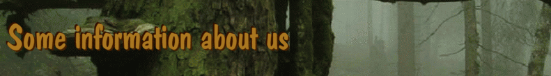 Some information about us