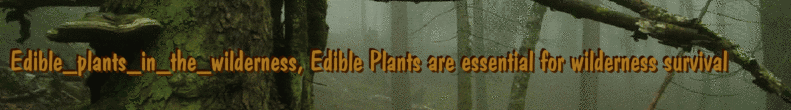 Edible_plants_in_the_wilderness, Edible Plants are essential for wilderness survival