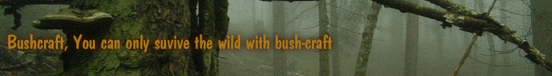 Bushcraft, You can only suvive the wild with bush-craft