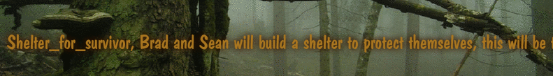 Shelter_for_survivor, Brad and Sean will build a shelter to protect themselves, this will be their base for creating strategies