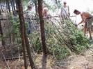 A Leanto is a very simple shelter for wilderness survival A Leanto is a very simple shelter for wilderness survival