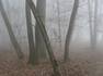 Bare Wilderness Survival Facts
