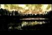 Go to the video footageAbout Brad Adrian and Sean Diamond