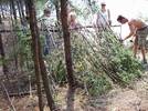 A Leanto is a very simple shelter for wilderness survival