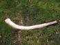Hunting tools and weapons for wilderness survival